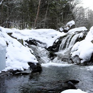 名残雪