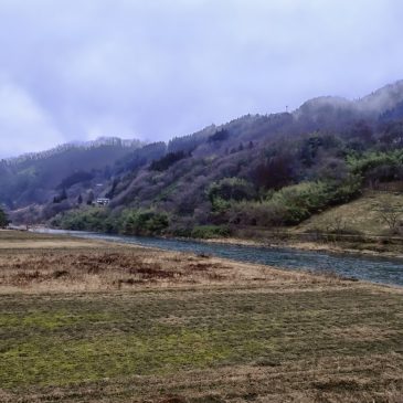 寒の雨