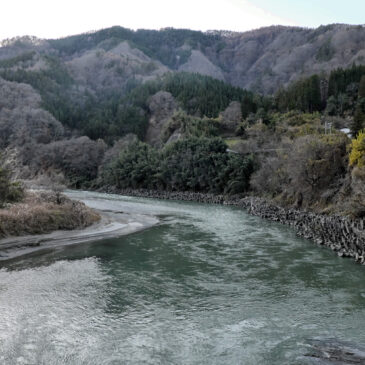 晩秋の彩