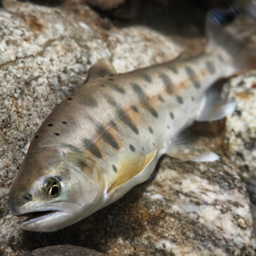 季節の移ろいとともに