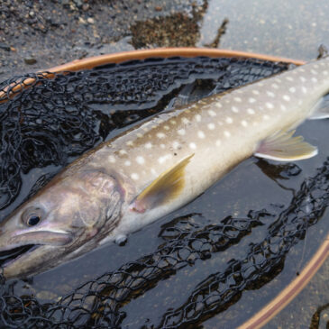 カルデラ湖の品格
